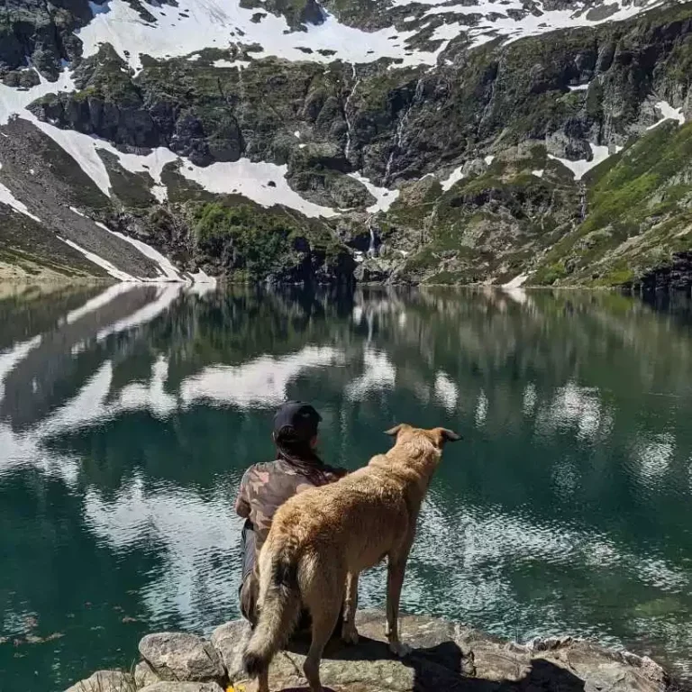 randonner avec son chien