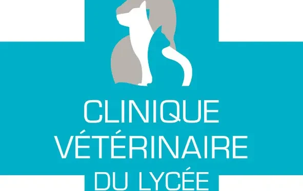 veterinaire comportementaliste