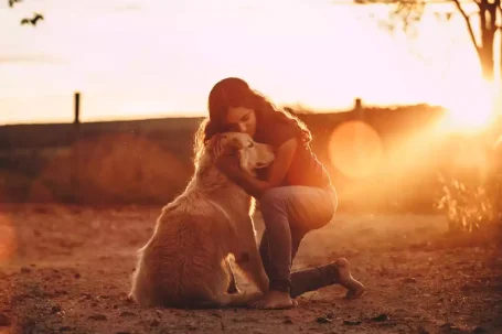 La communication intuitive : Clé de la relation Homme-Chien