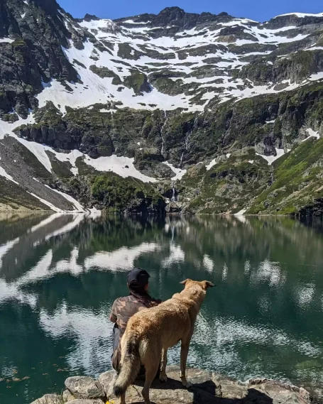 Randonner avec son chien