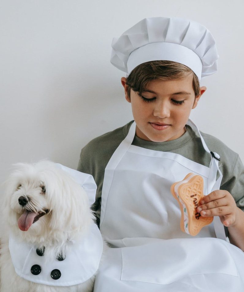 Biscuits pour chiens