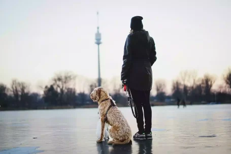 conseil d'éducation chien et chiot